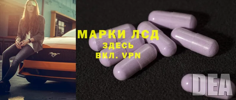 Лсд 25 экстази ecstasy  Уржум 